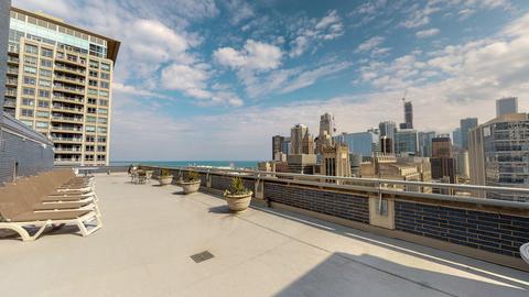 222 E Pearson St #1906, Chicago, IL 60611 photo 14