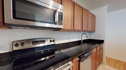 222 E Pearson St #1906, Chicago, IL 60611 photo 7
