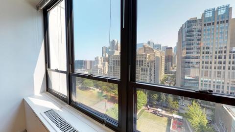 222 E Pearson St #1906, Chicago, IL 60611 photo 10