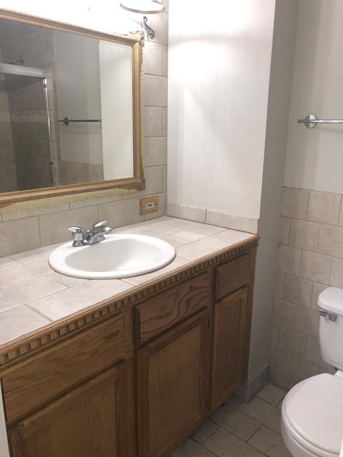 195 Thomas Ct #C, Bartlett, IL 60103 photo 14