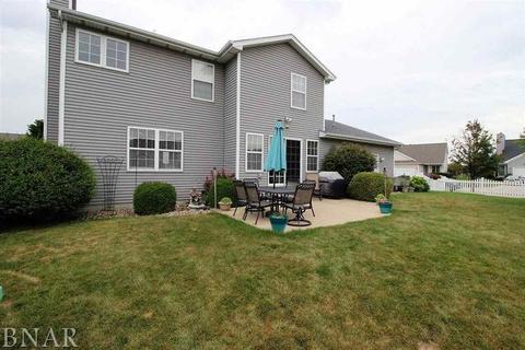 3321 Red Jasper St, Normal, IL 61761 photo 30