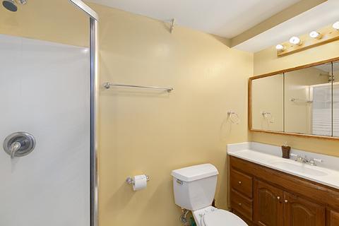 532 Maple Dr, Streamwood, IL 60107 photo 25