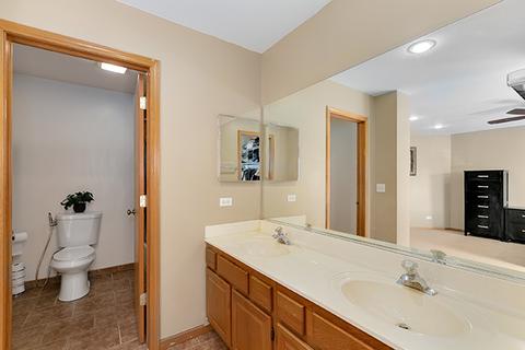 532 Maple Dr, Streamwood, IL 60107 photo 19