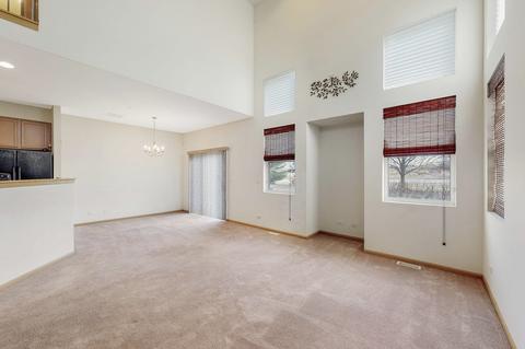 21147 Gray Hawk Dr, Matteson, IL 60443 photo 4