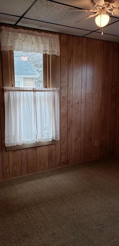 413 Center St, Mazon, IL 60444 photo 21