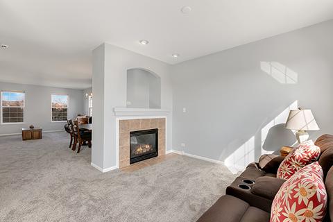 4261 Drexel Ave, Aurora, IL 60504 photo 10