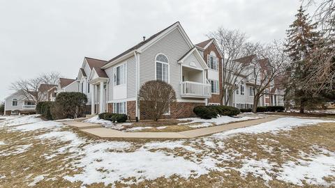 2317 Dawson Ln, Algonquin, IL 60102 photo 23