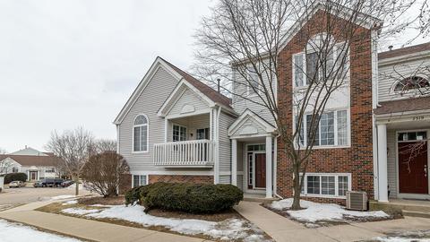 2317 Dawson Ln, Algonquin, IL 60102 photo 1
