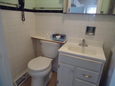209 W 5th St, Gridley, IL 61744 photo 14