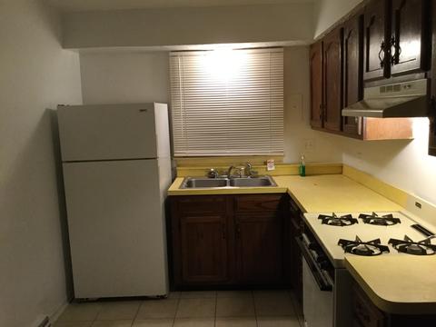 21 E 102nd St, Chicago, IL 60628 photo 4
