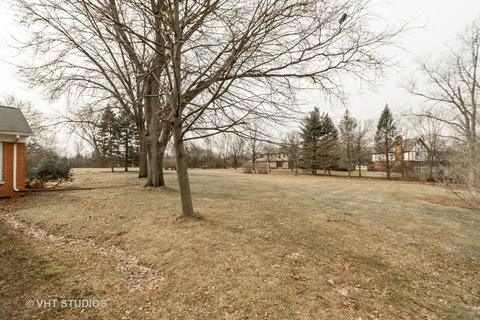 53 Graymoor Ln, Olympia Fields, IL 60461 photo 19