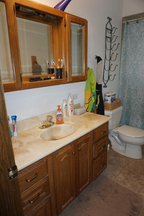 8450 S Octavia Ave, Bridgeview, IL 60455 photo 16