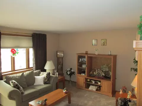 19349 Beechnut Dr, Mokena, IL 60448 photo 5