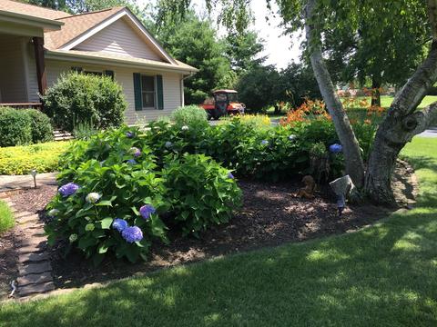 8206 Nolan St, Harvard, IL 60033 photo 3