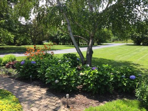 8206 Nolan St, Harvard, IL 60033 photo 4