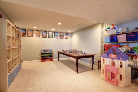 3101 Weeping Cherry Dr, Champaign, IL 61822 photo 52