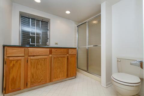 671 Rose Ln, Bartlett, IL 60103 photo 36