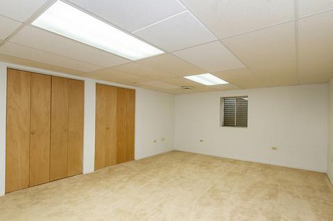 671 Rose Ln, Bartlett, IL 60103 photo 33