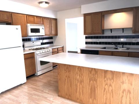 440 Hickory Ln, Davis Junction, IL 61020 photo 8