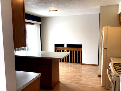 440 Hickory Ln, Davis Junction, IL 61020 photo 10