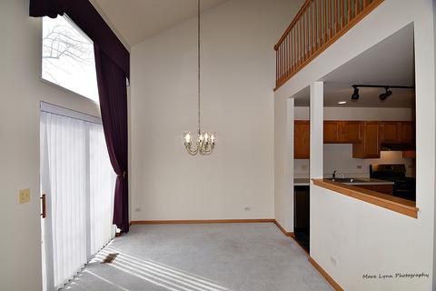 1304 Brunswick Ct, Elgin, IL 60120 photo 7