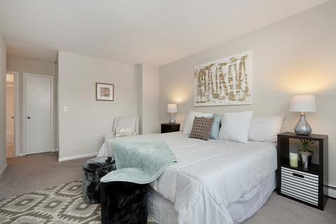 40 E Cedar St #14D, Chicago, IL 60611 photo 10