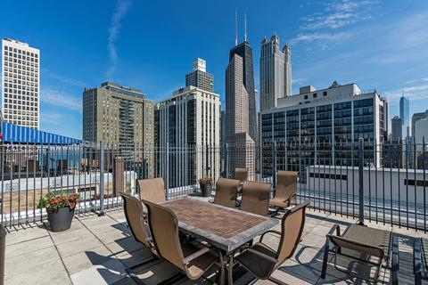40 E Cedar St #14D, Chicago, IL 60611 photo 16