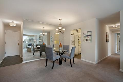 40 E Cedar St #14D, Chicago, IL 60611 photo 8