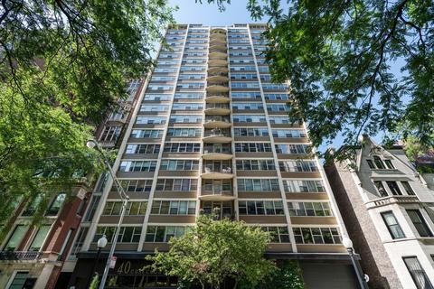 40 E Cedar St #14D, Chicago, IL 60611 photo 1