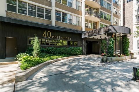 40 E Cedar St #14D, Chicago, IL 60611 photo 2