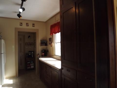 310 N 2nd St, Danforth, IL 60930 photo 15