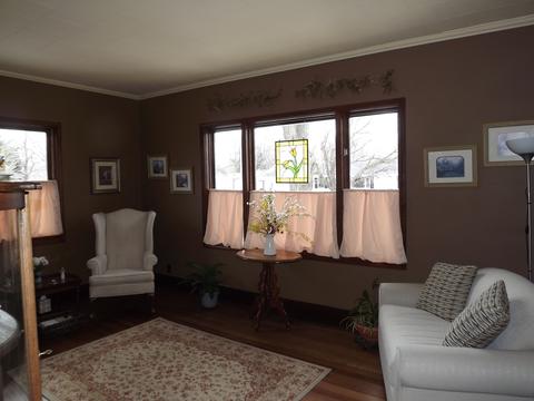 310 N 2nd St, Danforth, IL 60930 photo 9