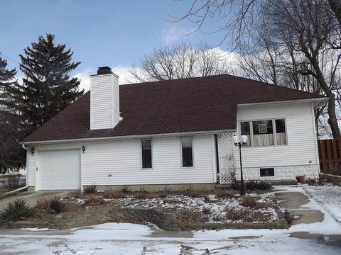 310 N 2nd St, Danforth, IL 60930 photo 30