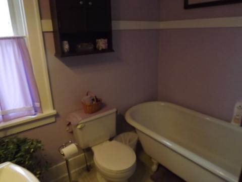 310 N 2nd St, Danforth, IL 60930 photo 19