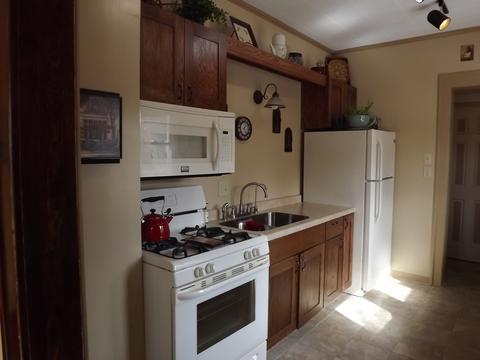 310 N 2nd St, Danforth, IL 60930 photo 16