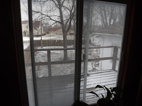 310 N 2nd St, Danforth, IL 60930 photo 26