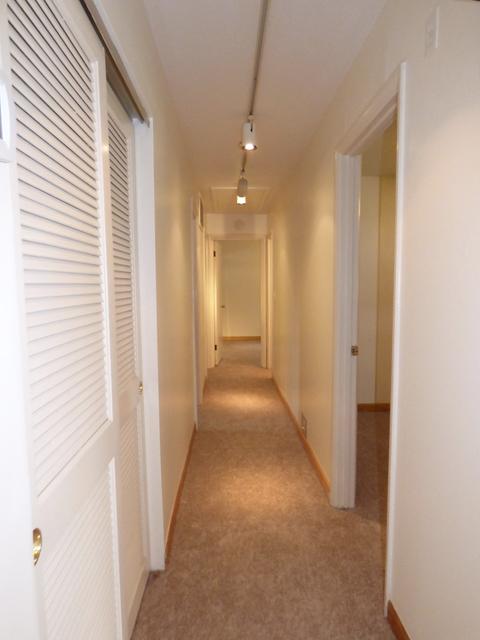 505 Lincoln Dr, Hoffman Estates, IL 60169 photo 14