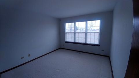 13432 Redberry Cir, Plainfield, IL 60544 photo 10