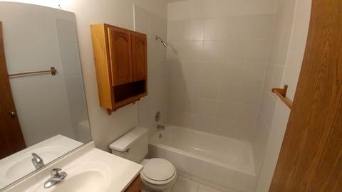 13432 Redberry Cir, Plainfield, IL 60544 photo 9