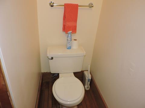 523 E Bowen Ave, Chicago, IL 60653 photo 12