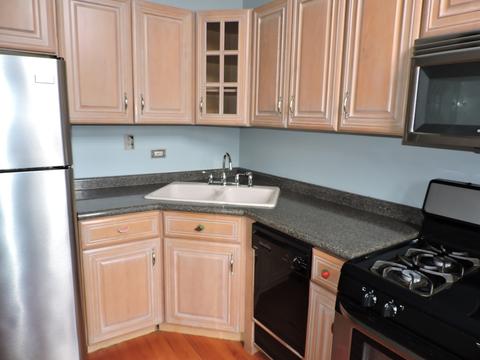 523 E Bowen Ave, Chicago, IL 60653 photo 10