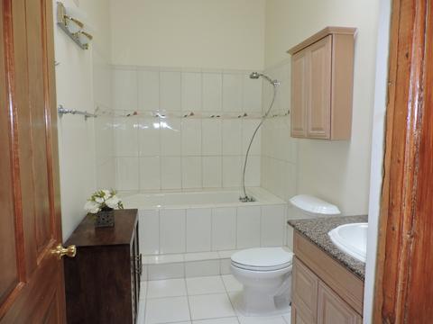 523 E Bowen Ave, Chicago, IL 60653 photo 18