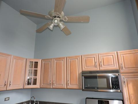 523 E Bowen Ave, Chicago, IL 60653 photo 9
