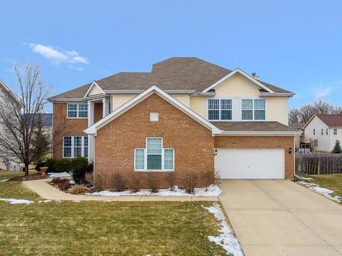 170 Sunflower Ln, Bartlett, IL 60103 photo 3