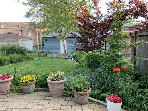 1767 W Devon Ave, Chicago, IL 60660 photo 19
