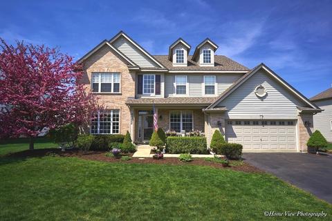 26222 Mapleview Dr, Plainfield, IL 60585 photo 1