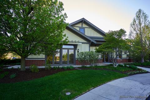 26222 Mapleview Dr, Plainfield, IL 60585 photo 48