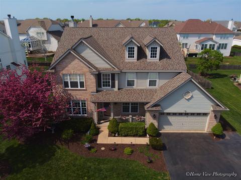 26222 Mapleview Dr, Plainfield, IL 60585 photo 2