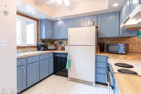 323 S Towanda Ave #3, Normal, IL 61761 photo 9