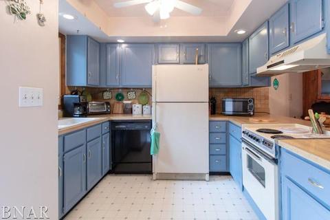 323 S Towanda Ave #3, Normal, IL 61761 photo 8